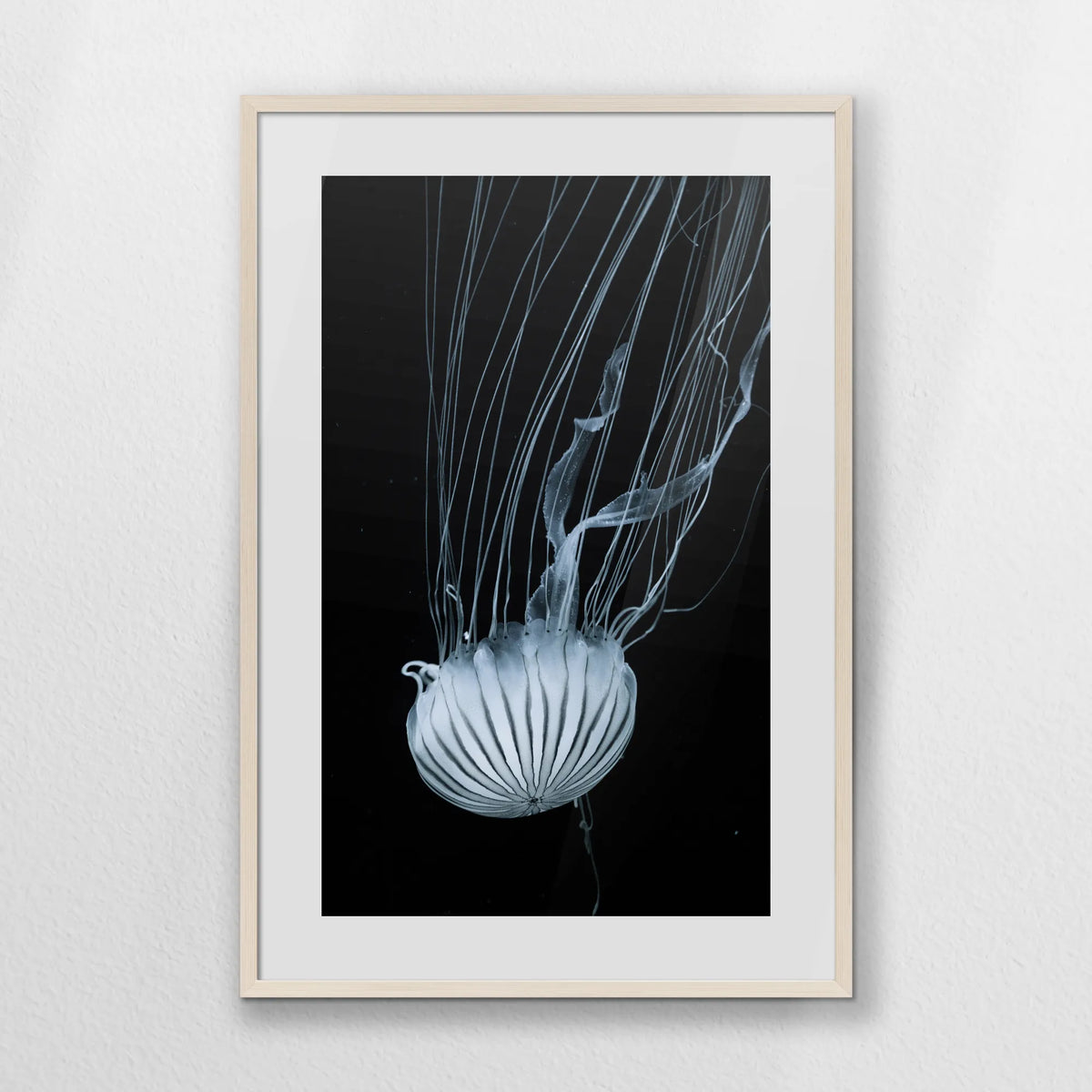 PNP062W093