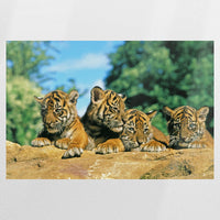 PO-120W080