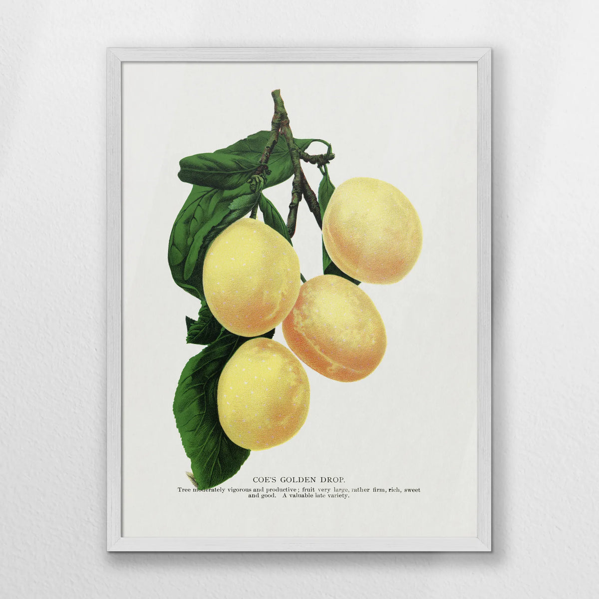 PW-050W070