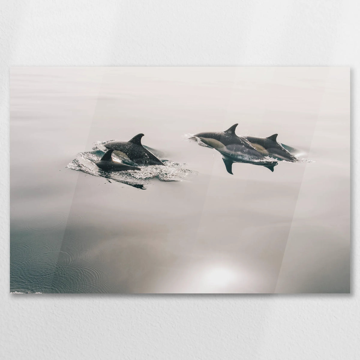 AC-075W050