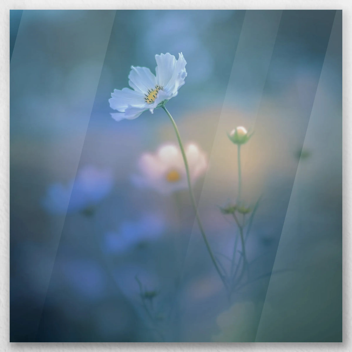 AC-040W040