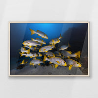 PN-093W062