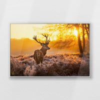 PS-100W070