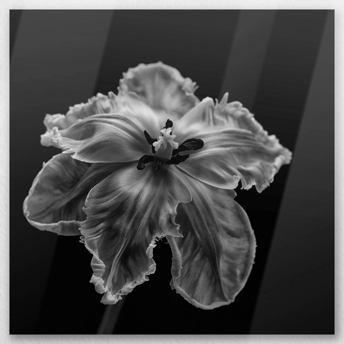 AL-040W040