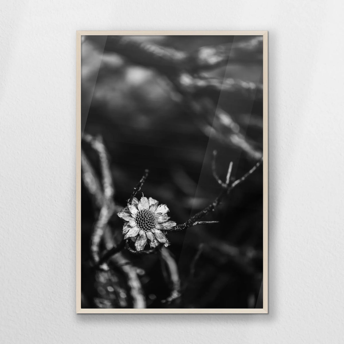 PN-070W100