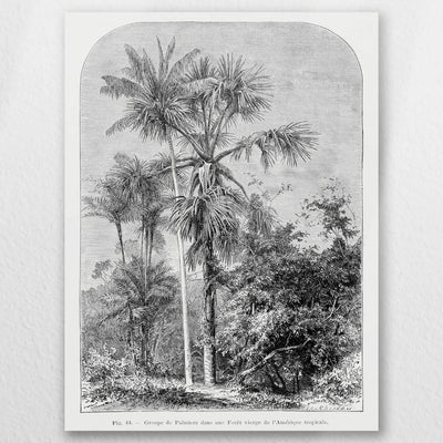 AC-030W040