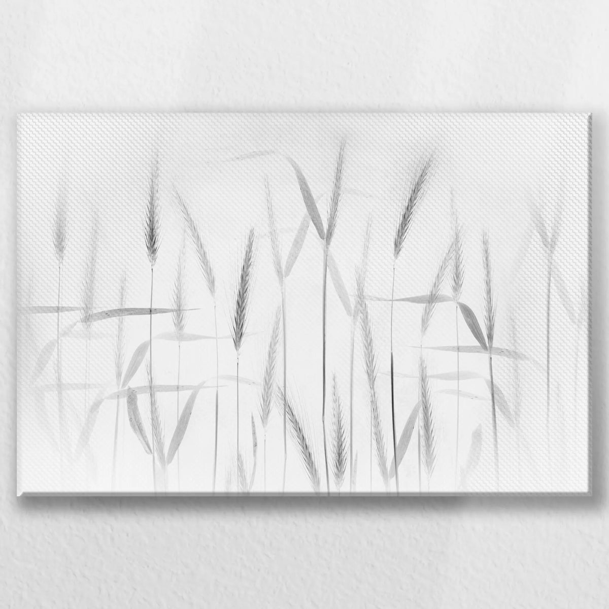 LW-030W020