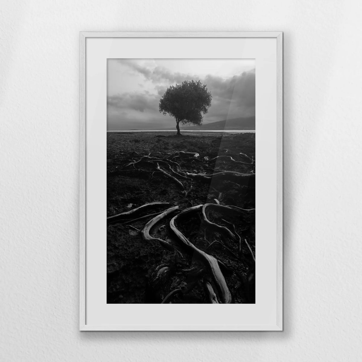 PWP062W093