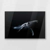 PB-093W062
