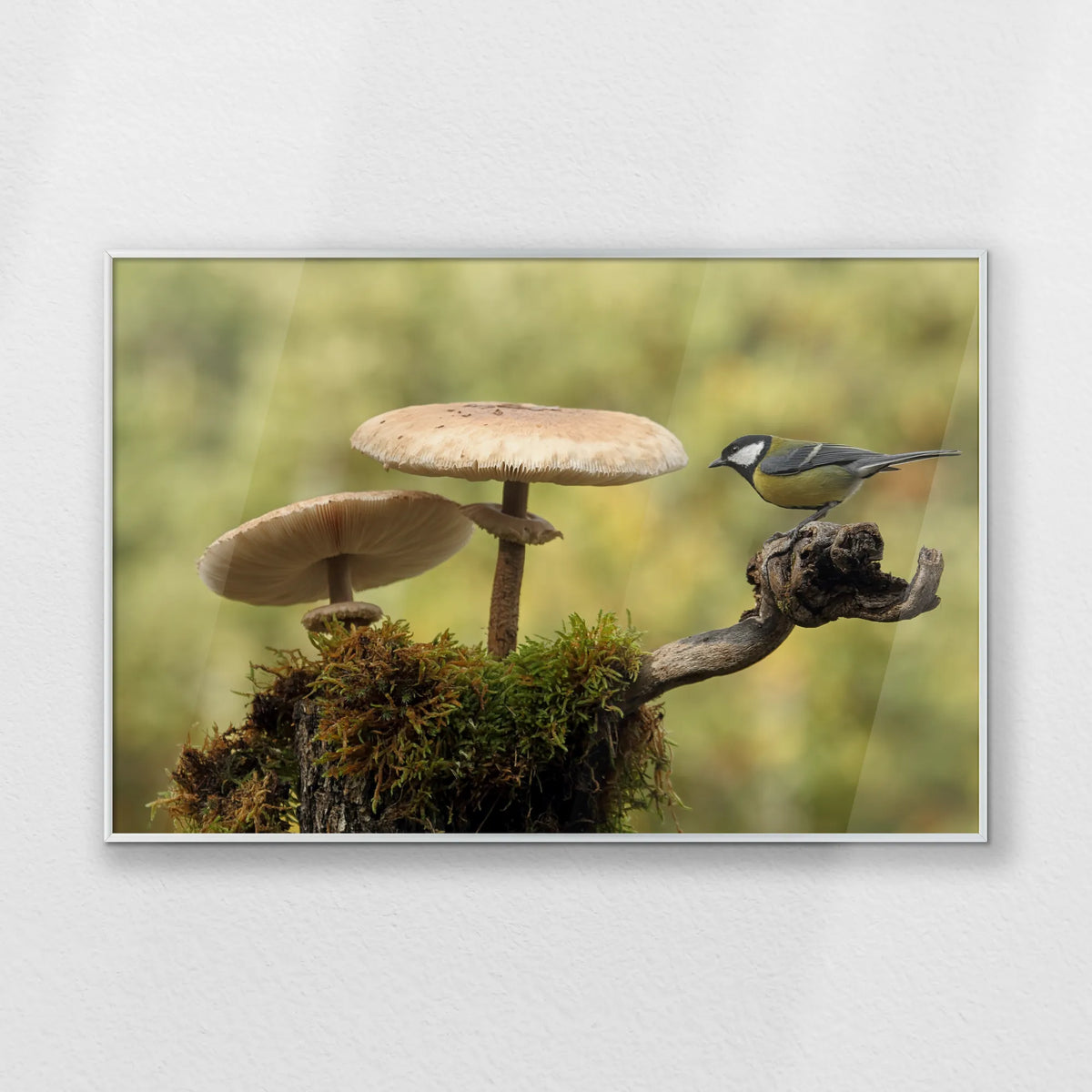 PS-093W062