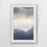 PWP070W100