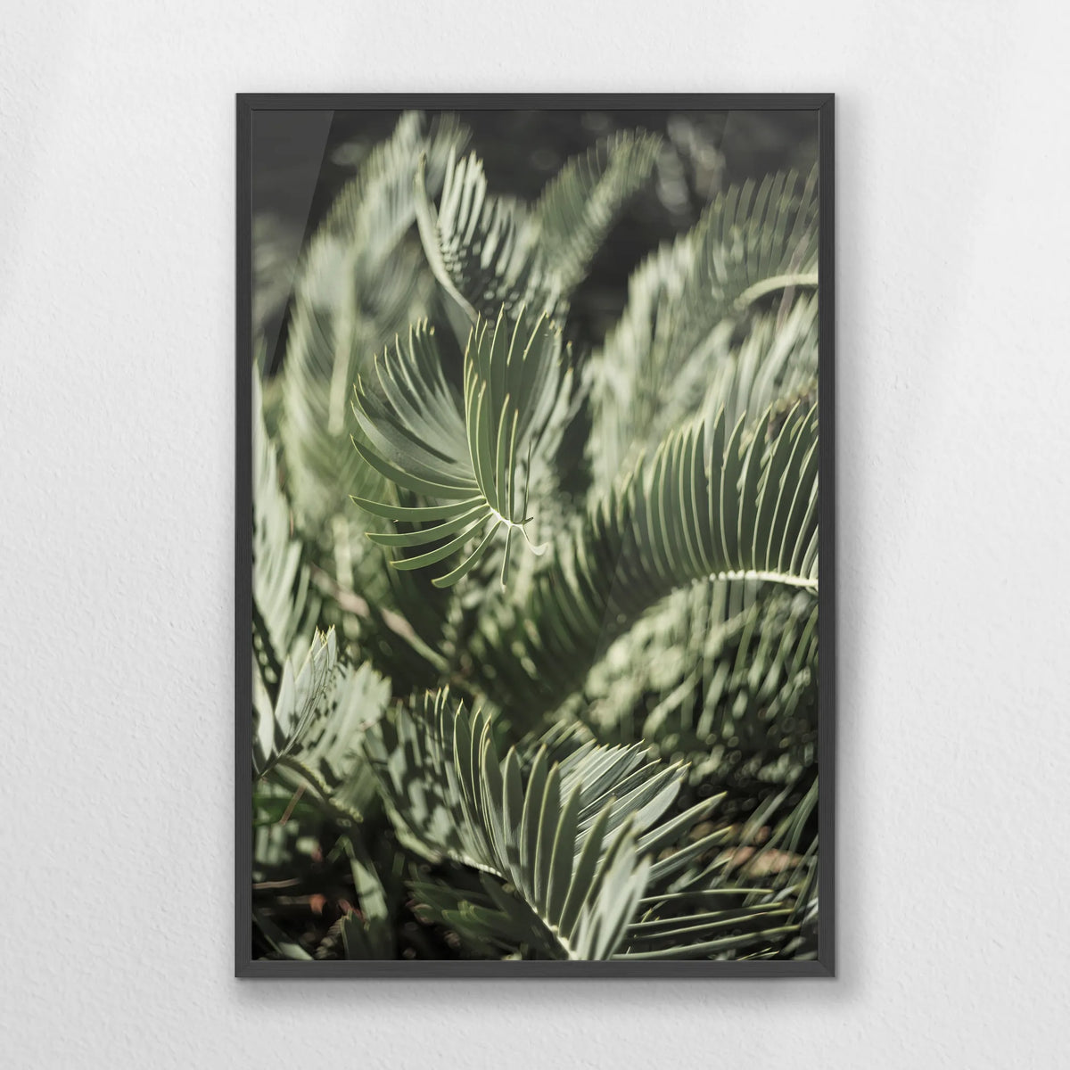 PK-062W093