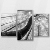 LW-060T040