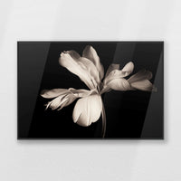 PB-093W062