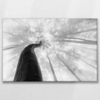 LW-075W050