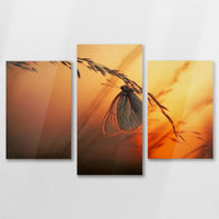AC-090T060