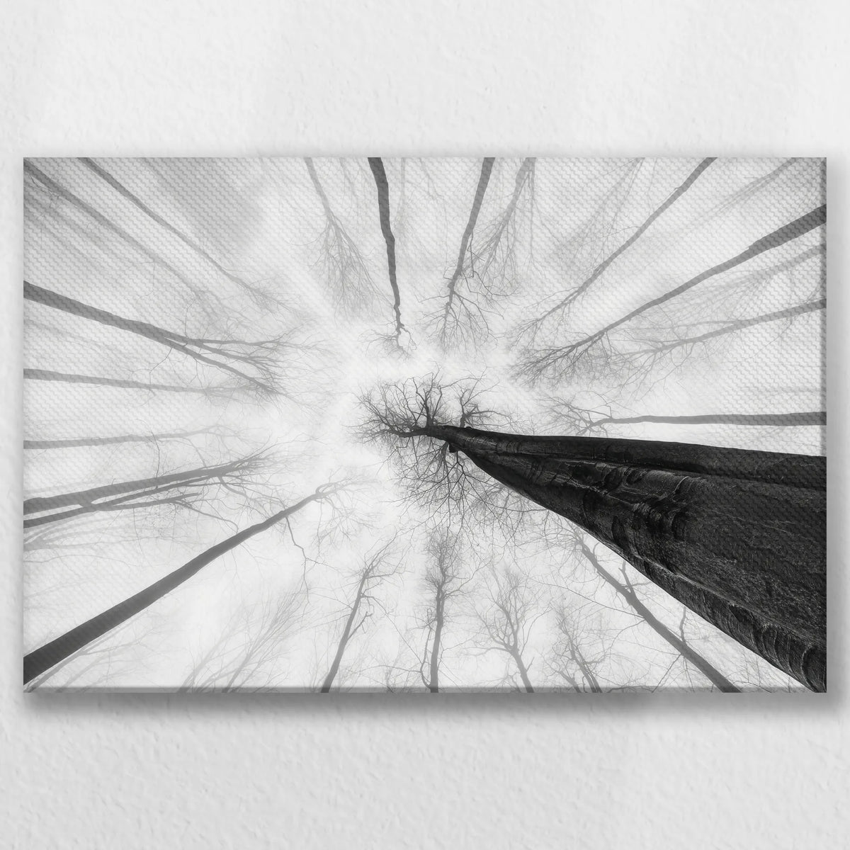 LW-030W020