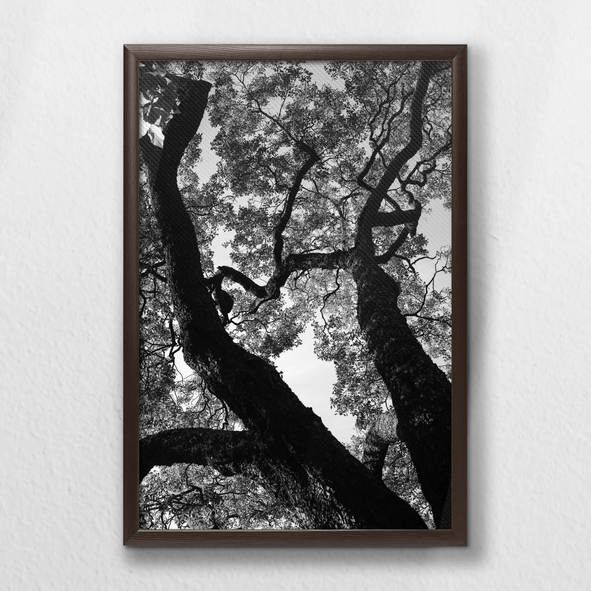 LWN040W060