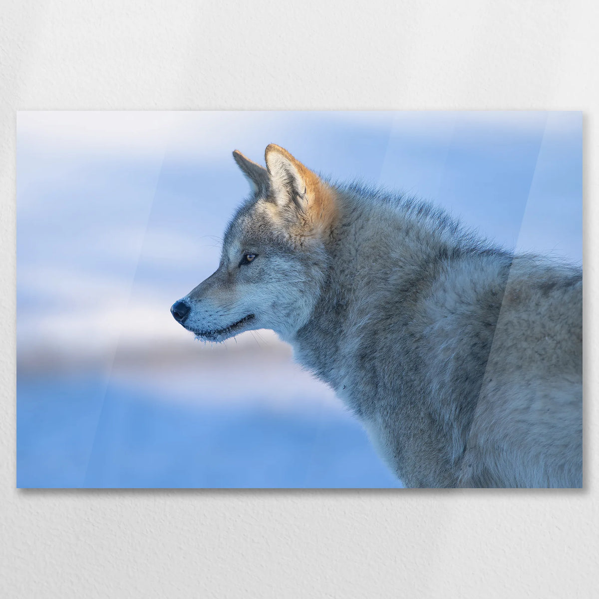 AC-090W060