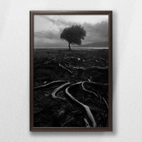 LWN040W060