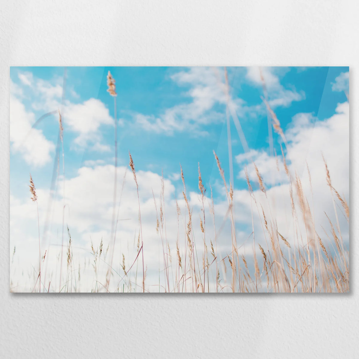 AC-075W050