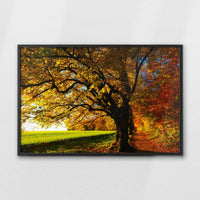 LWB100W070