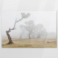 AC-090W060