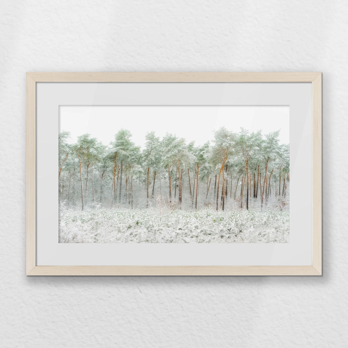 PNP060W040