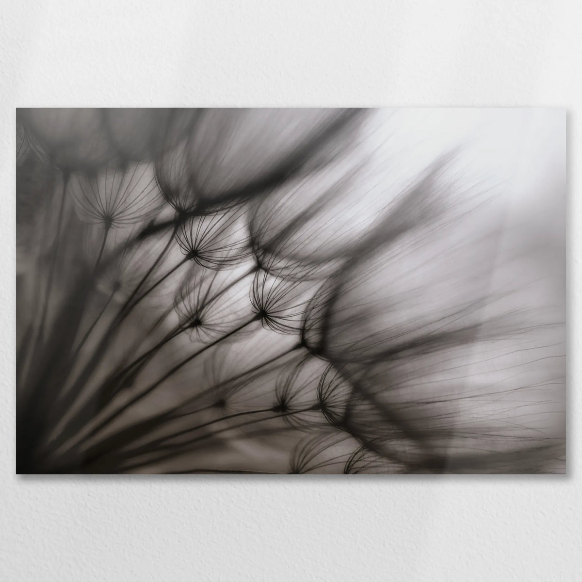 AL-075W050