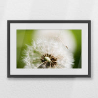 PKP060W040