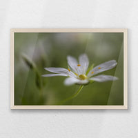 PN-060W040