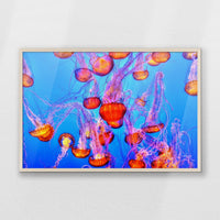 PN-093W062