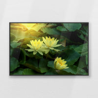 PB-093W062