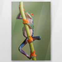 AC-050W075