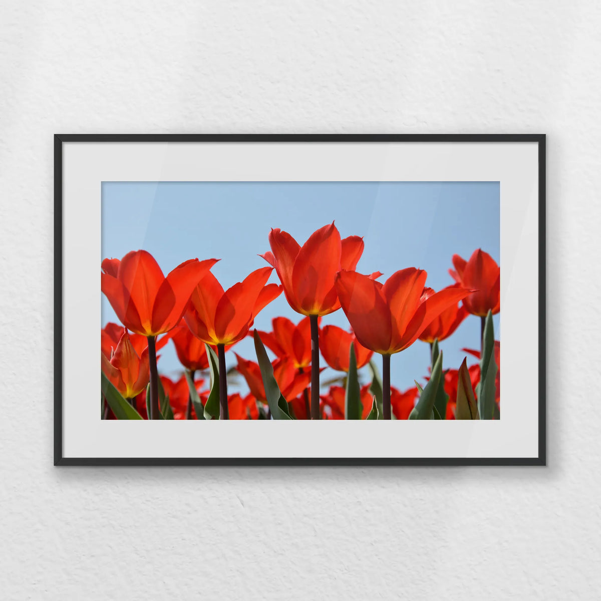 PBP060W040