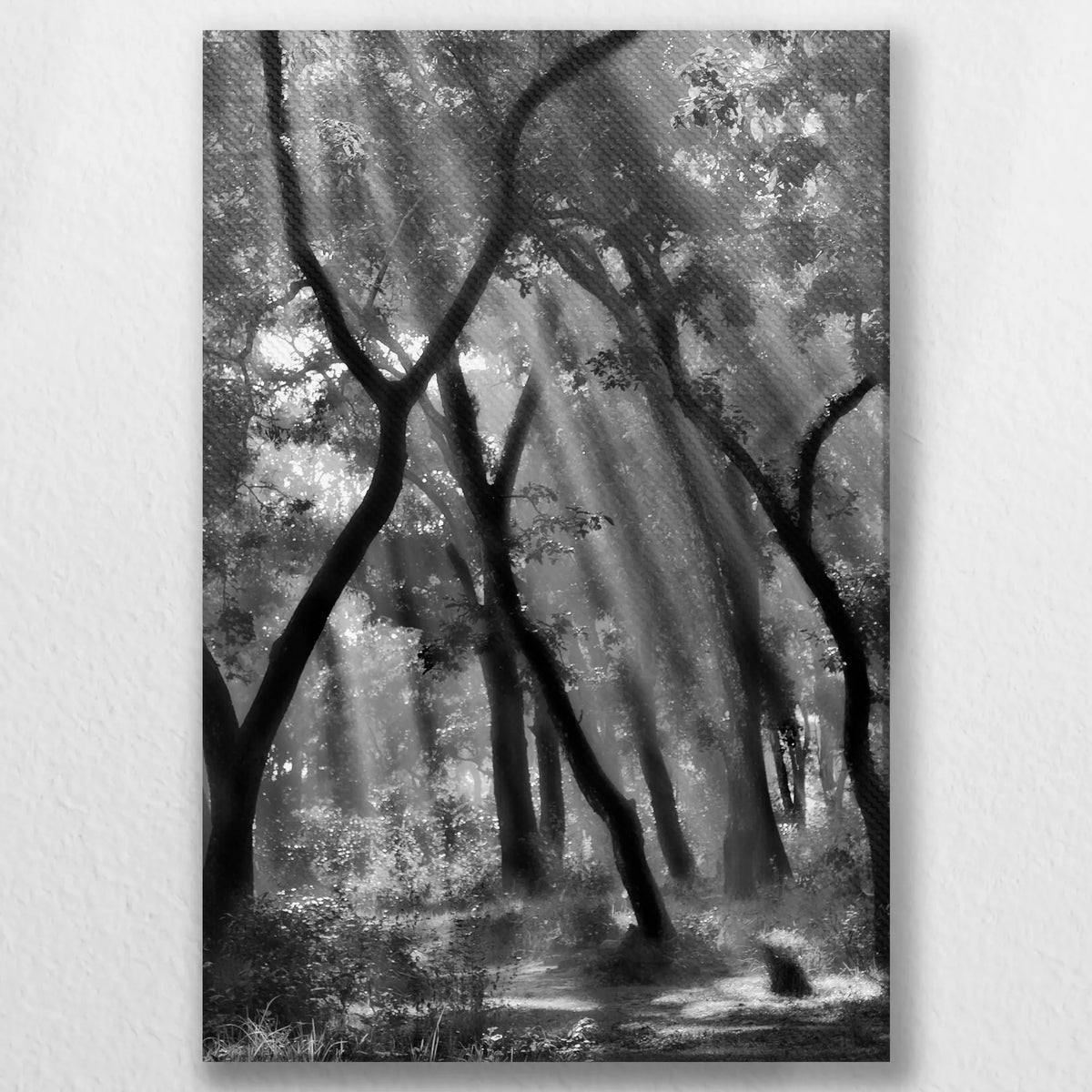 LW-030W045