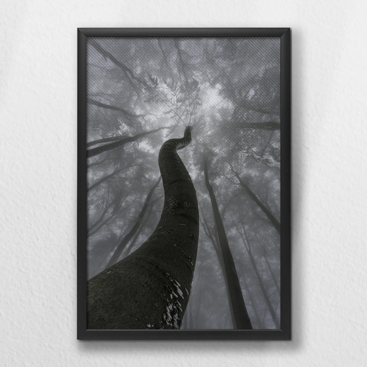 LWB040W060