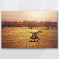 LW-075W050