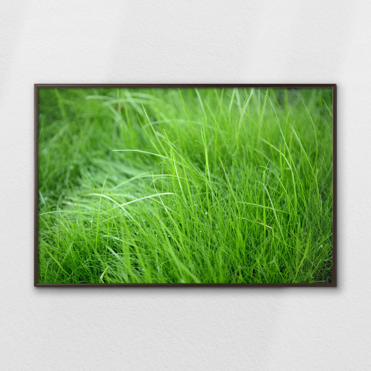 LWN120W080