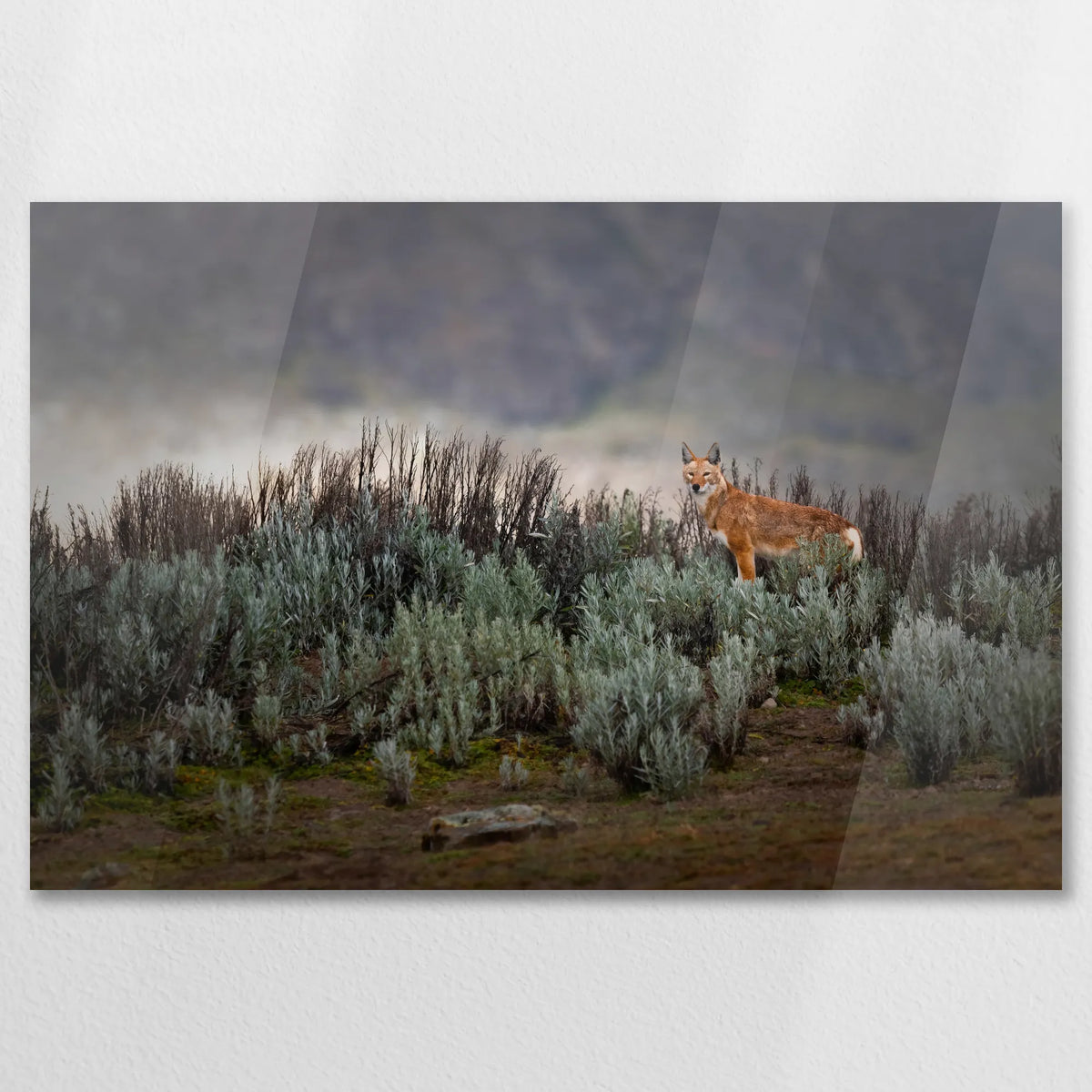 AC-090W060