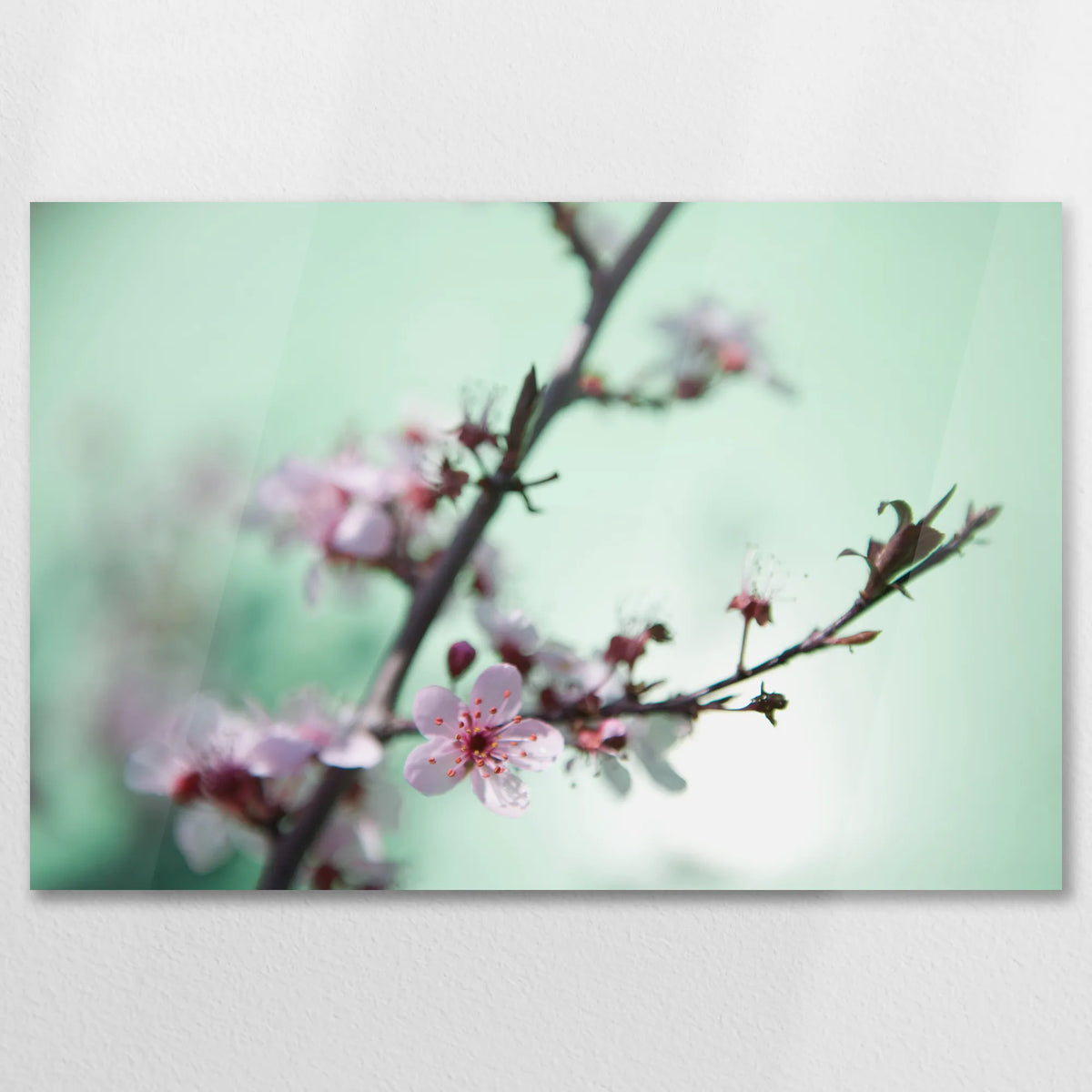 AC-075W050