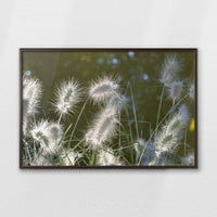 LWN100W070