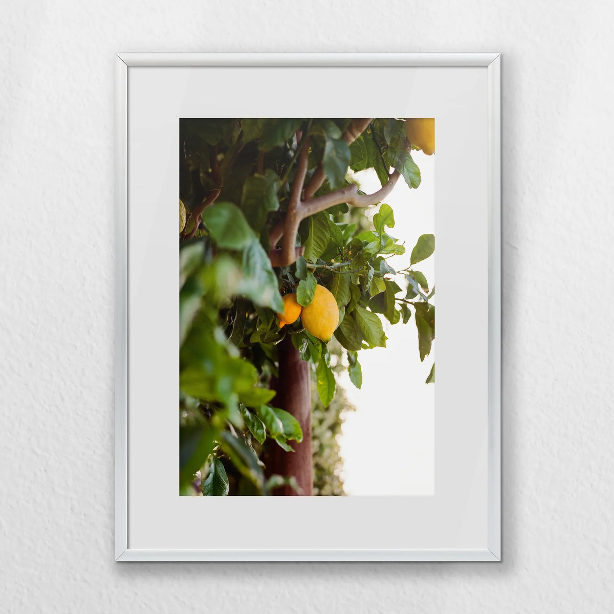 PSP030W040