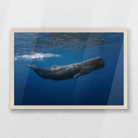 PN-060W040