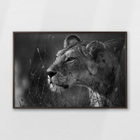 LWN120W080