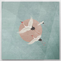 AC-030W030