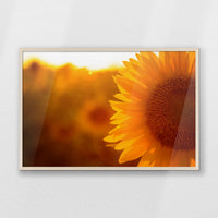 PN-093W062