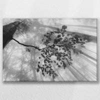 LW-045W030