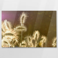 AC-075W050