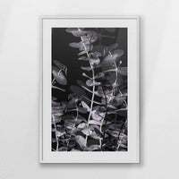 PWP070W100